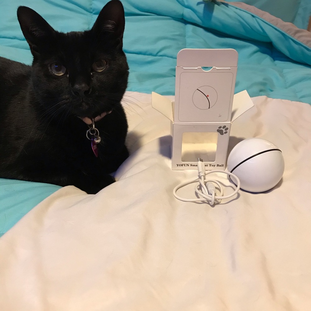 Rechargeable Cat Ball Toy
